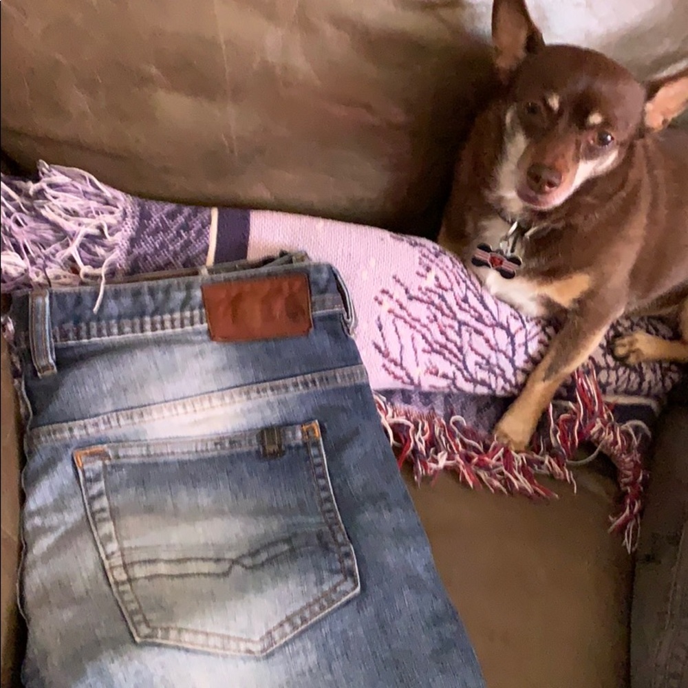 Buffalo jeans